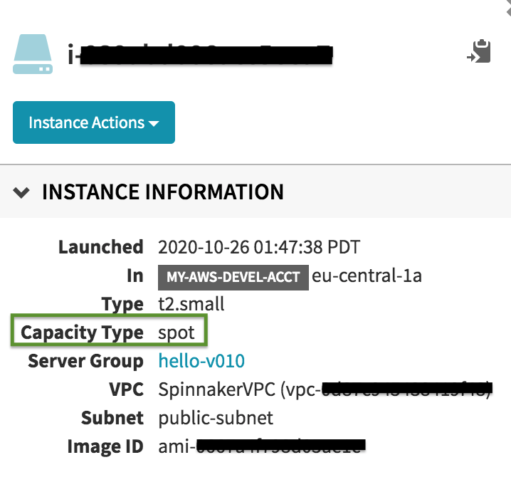 Capacity Type Spot
